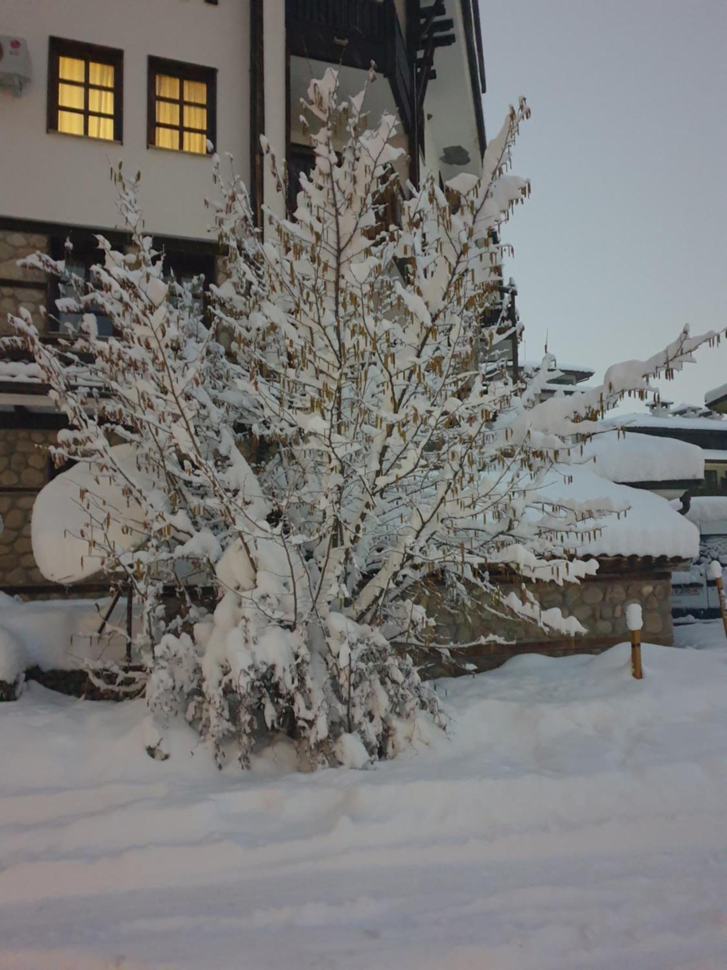 Dream Apart Hotel 207 Bansko Ruang foto