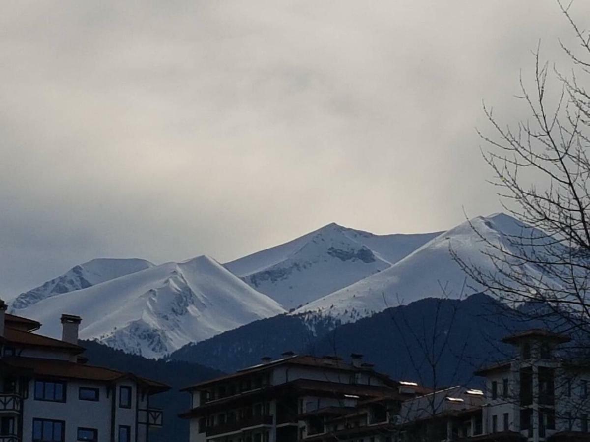 Dream Apart Hotel 207 Bansko Bagian luar foto